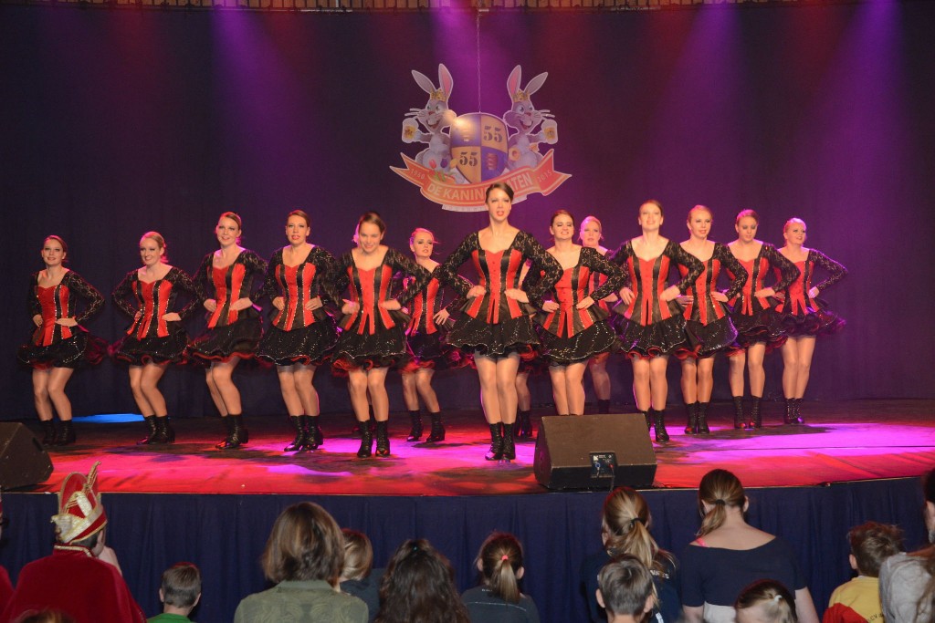 ../Images/Dansmarieke festival 2015 248.jpg